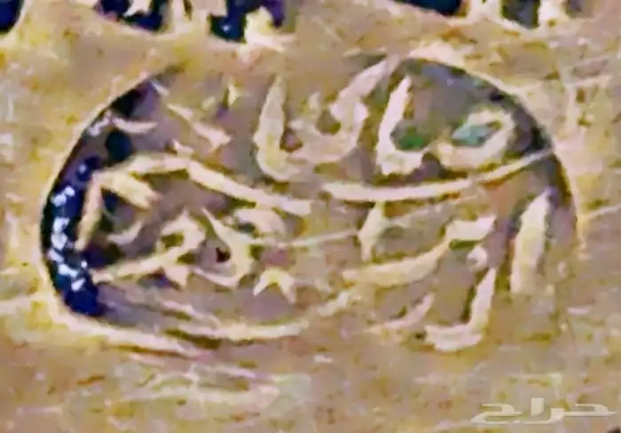 دلال قرشيه 21