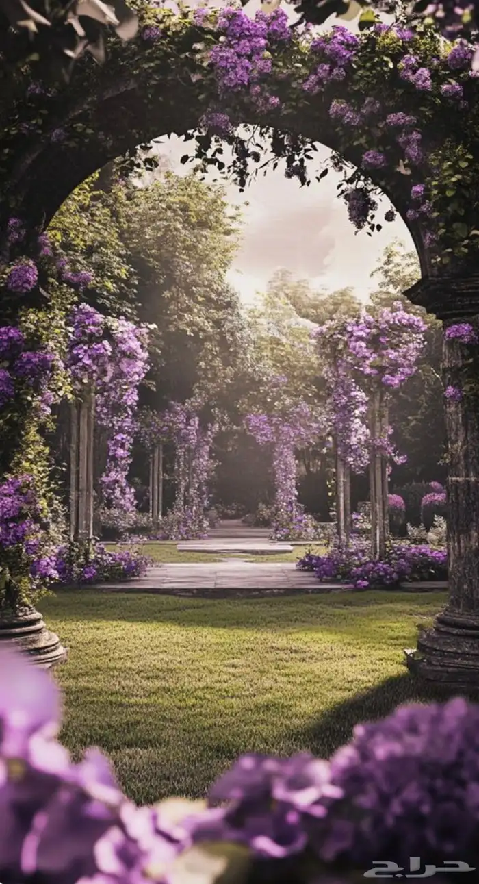 بشاره مولود 0