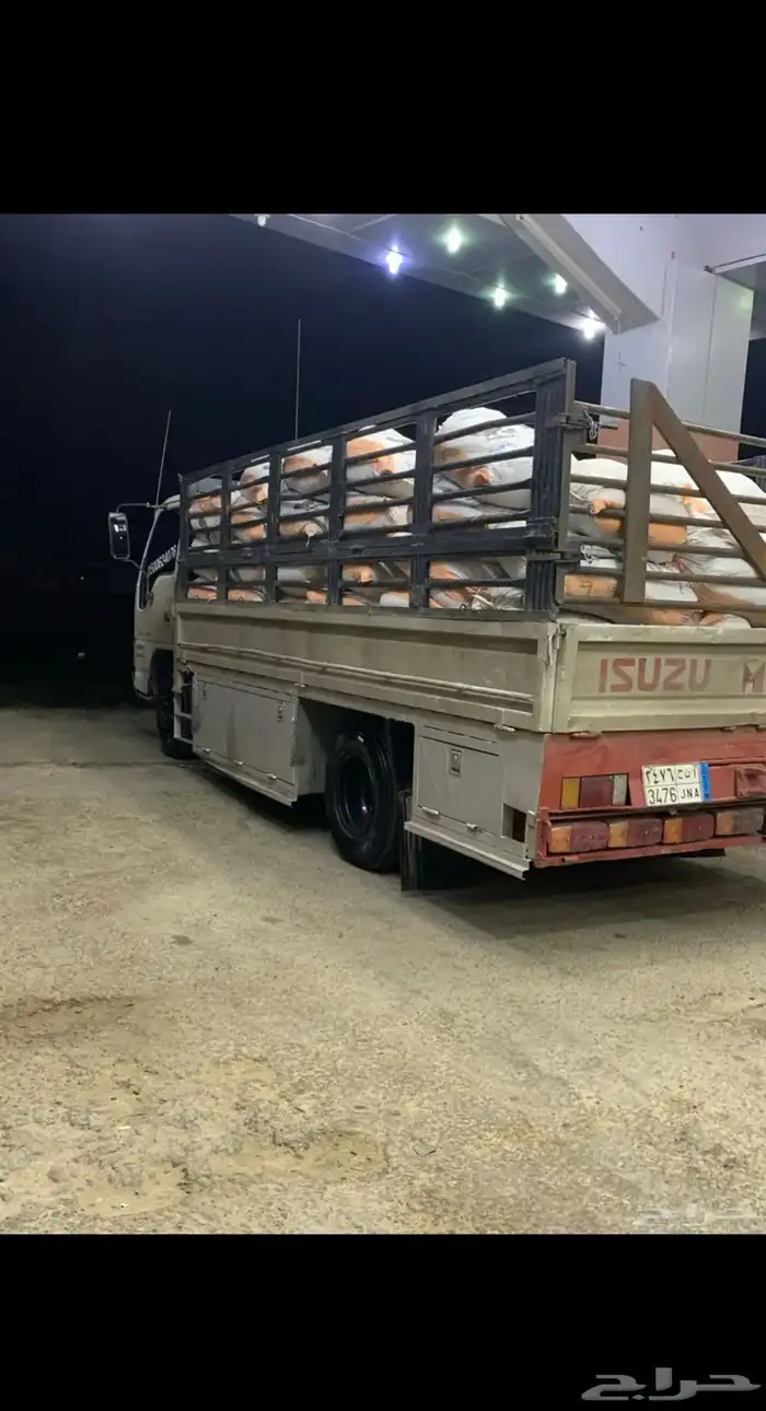 نقل دينا دينه جرش برمة الفروسية الرمال 0