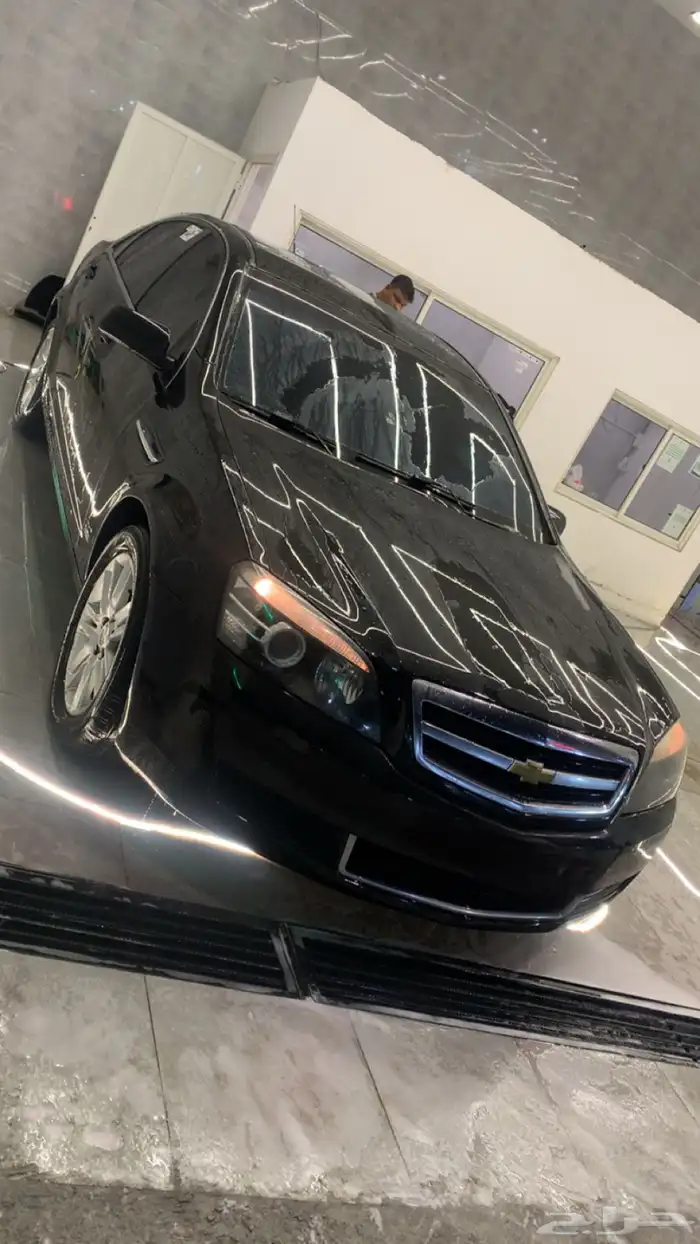 كابرس اسود للبيع 1