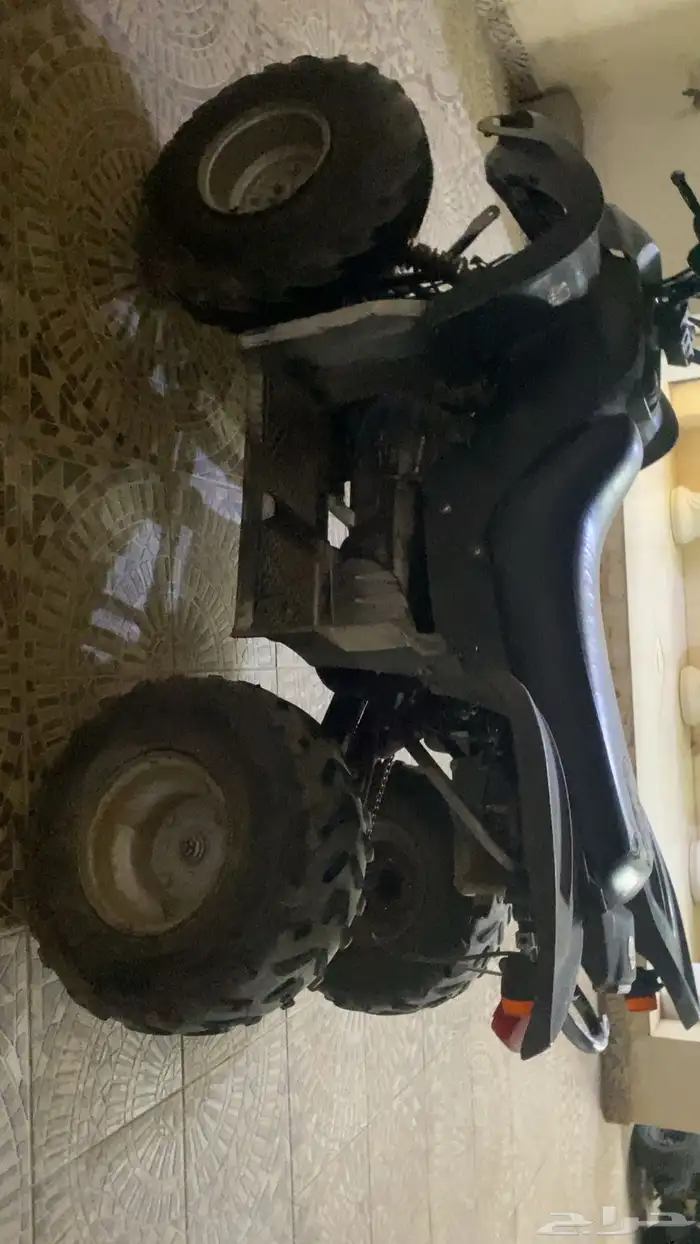 دباب للبيع نضيف ونشيط نوع سويدي السوم 1850 والبيع 2000 1