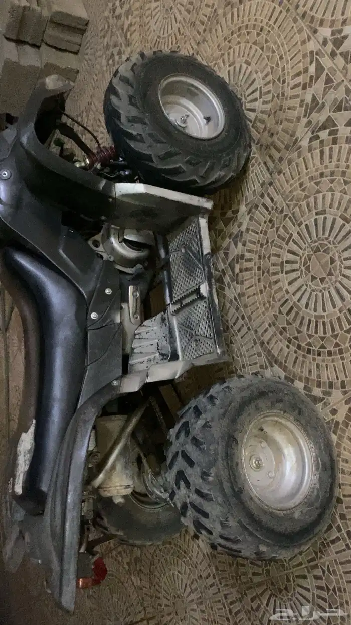 دباب للبيع نضيف ونشيط نوع سويدي السوم 1850 والبيع 2000 3