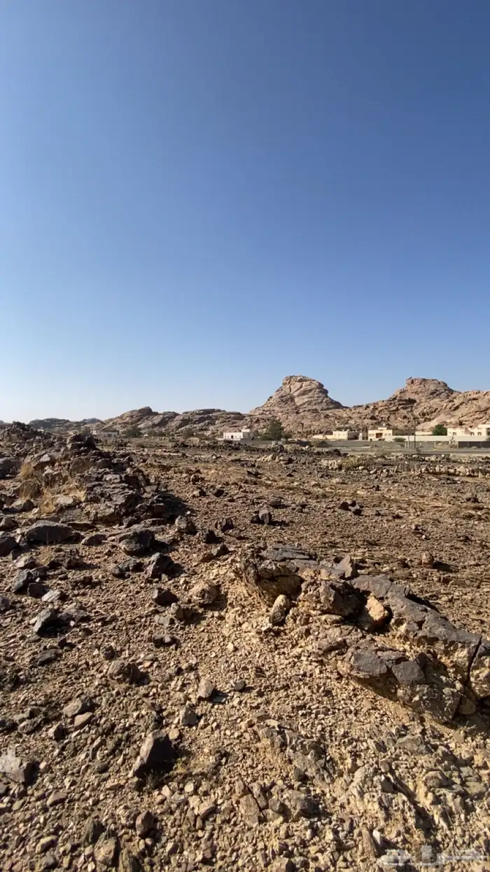 للبيع ارض مساحه 450 م2 مخطط الربوه شمال الخميس 260 الف 2