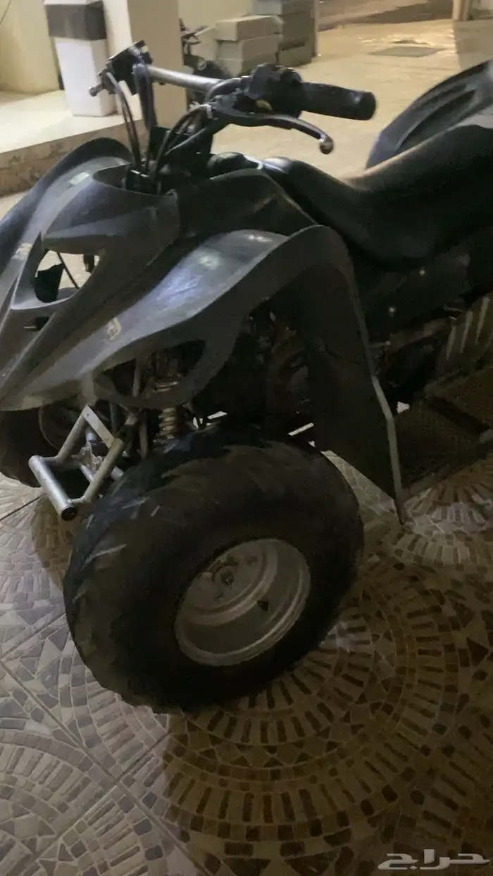 دباب للبيع نضيف ونشيط نوع سويدي السوم 1850 والبيع 2000 5