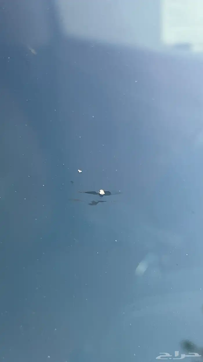 جيب باترول 2022 بلاتينيوم 6سلندر 20