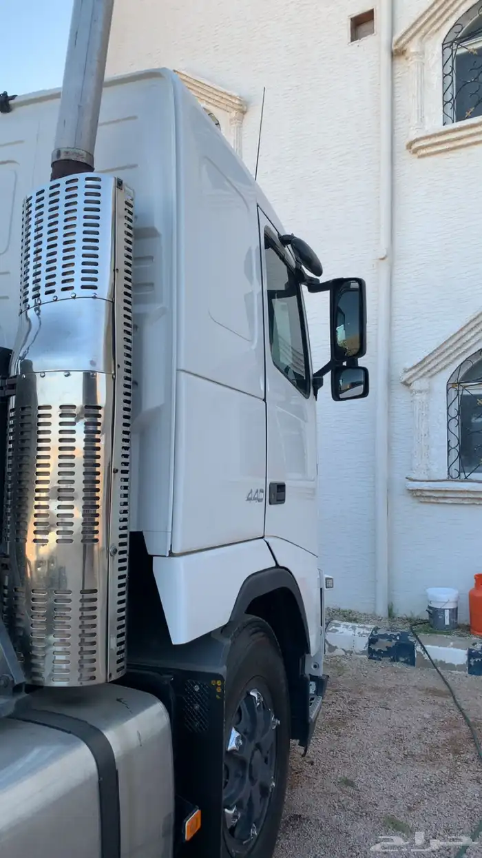 فلفو زاهد 2012 18