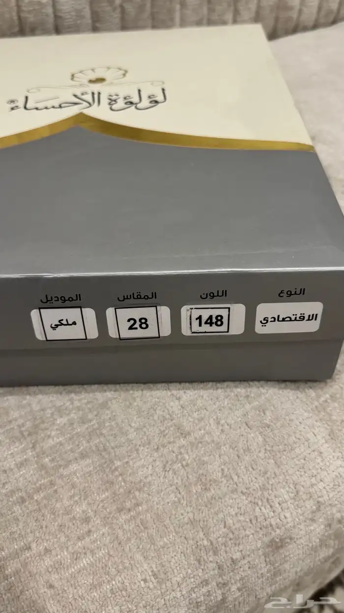 مشلح العياف 4