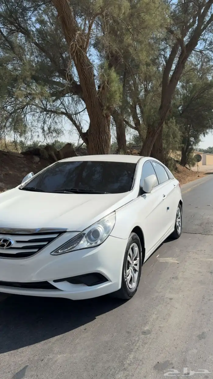 سوناتا 2013 14