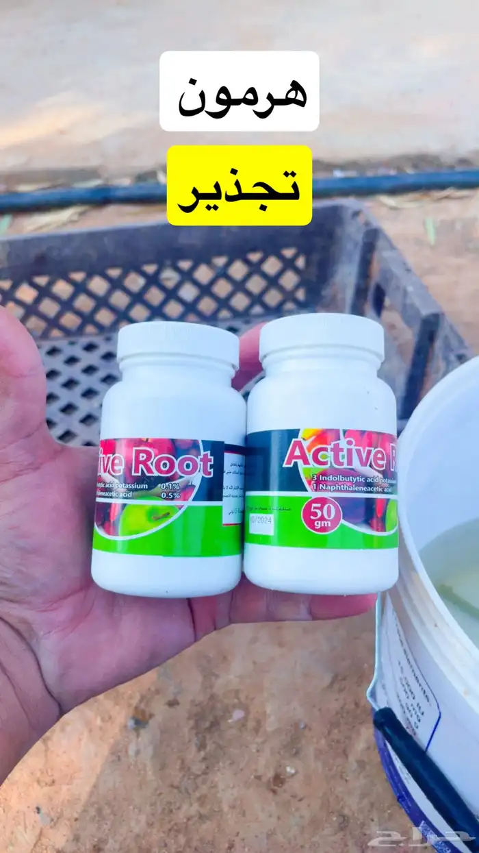 هرمون تجذير 2