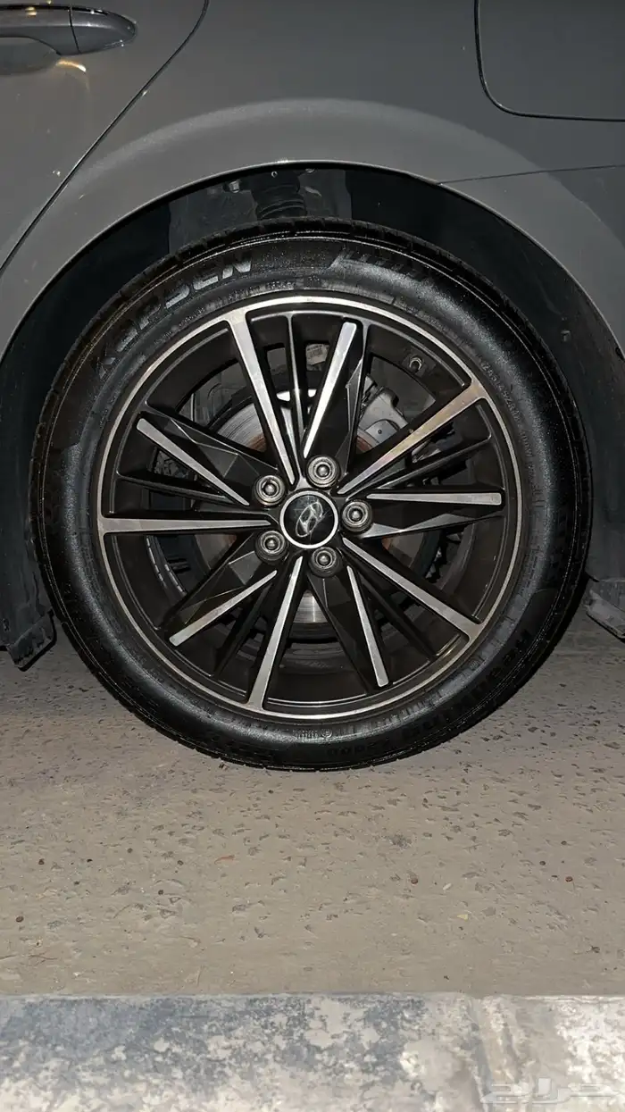 جنوط ازيرا 21 - 23 3