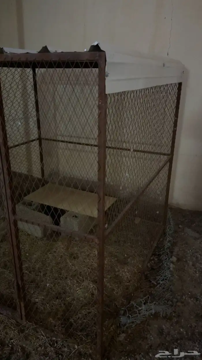 شبك شينكو الموقع الخرمه 2