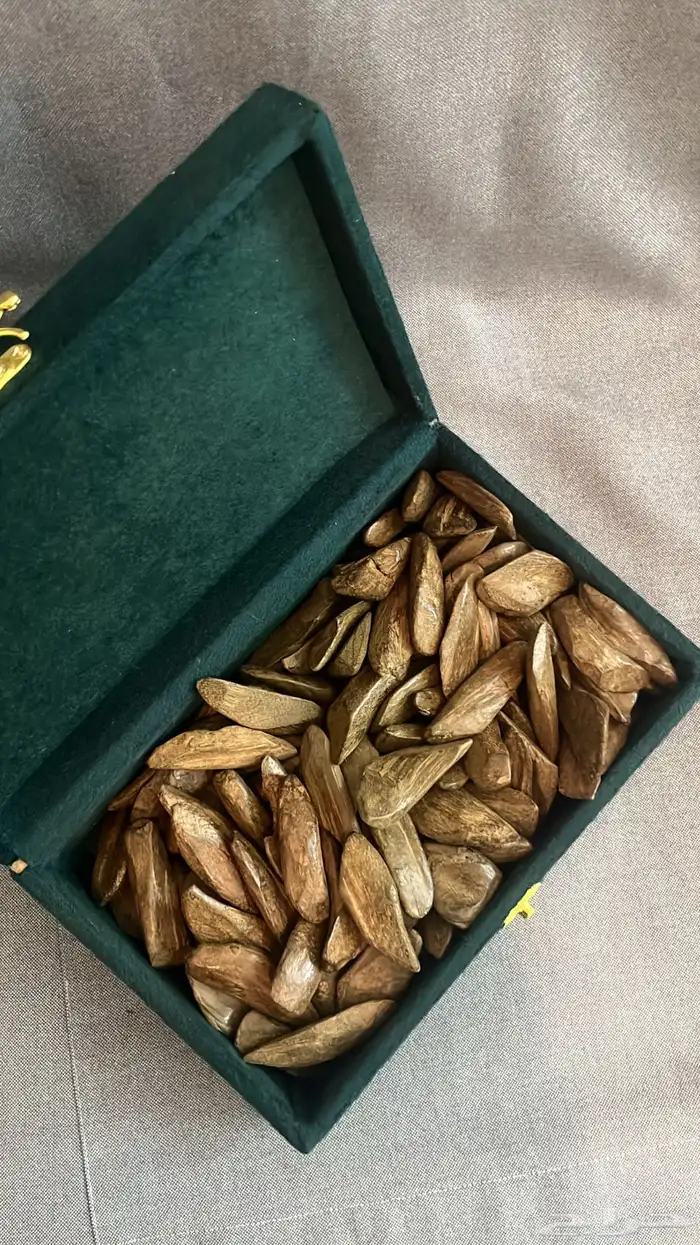 عود تايقر - عود مروكي - افضل انواع العود سعر رمزي 1