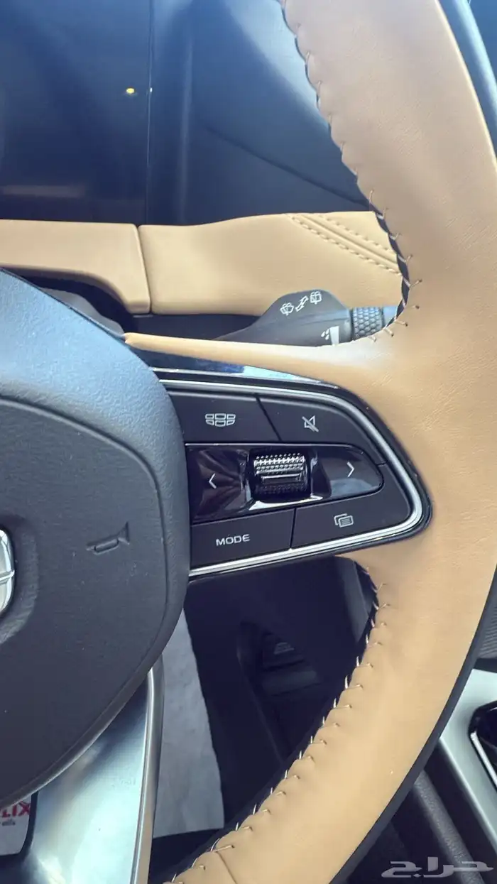 جيلي اوكافانجو 2025 11