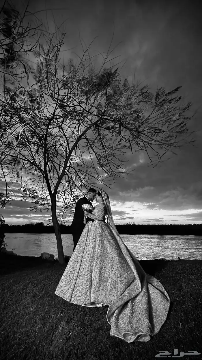 تصوير جميع الخدمات 2