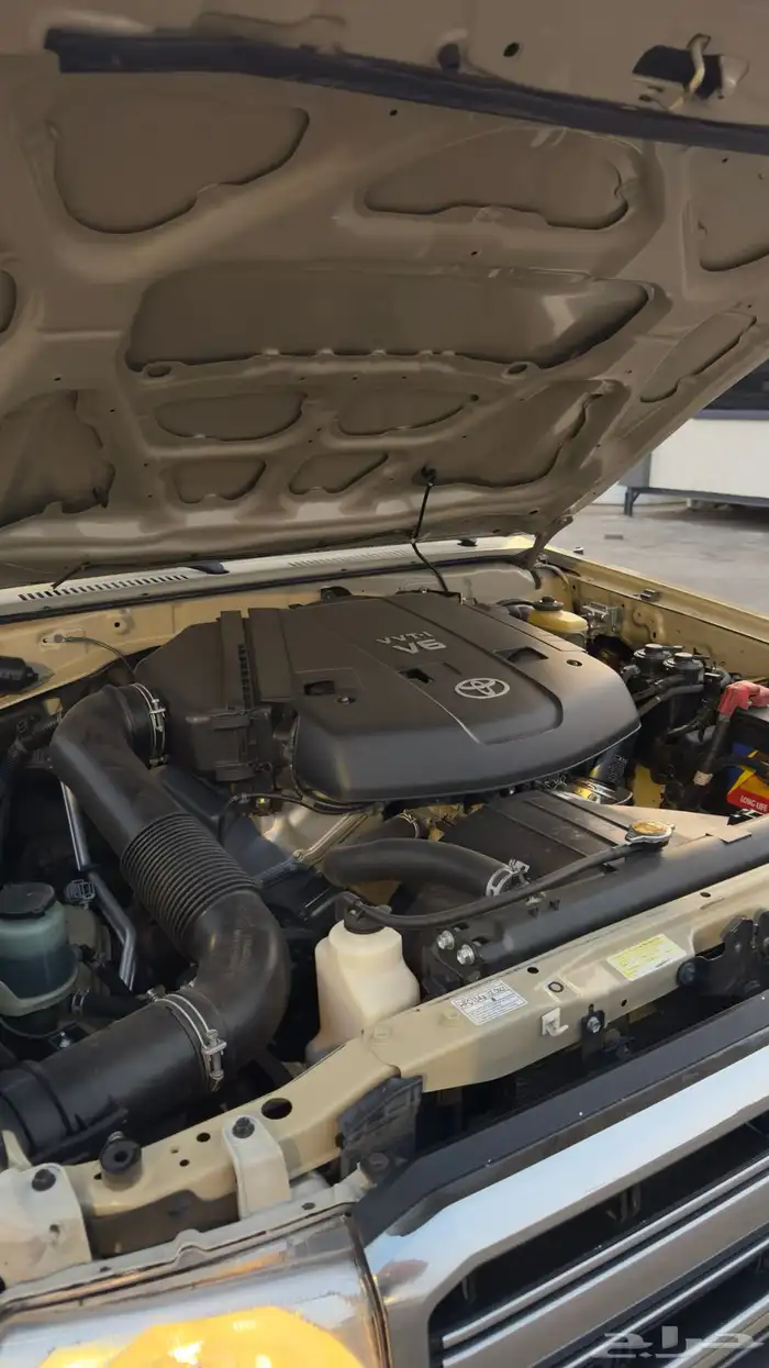 جيب شاص 2010 8