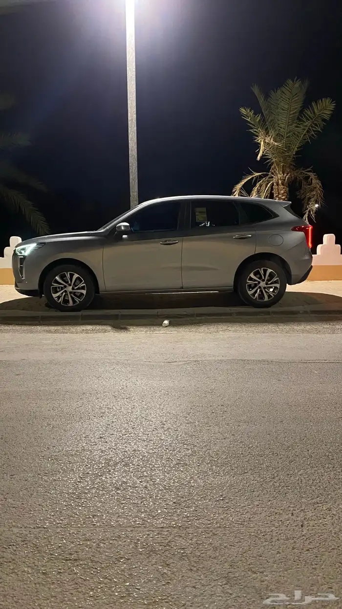 هافال جوليان 2024 0