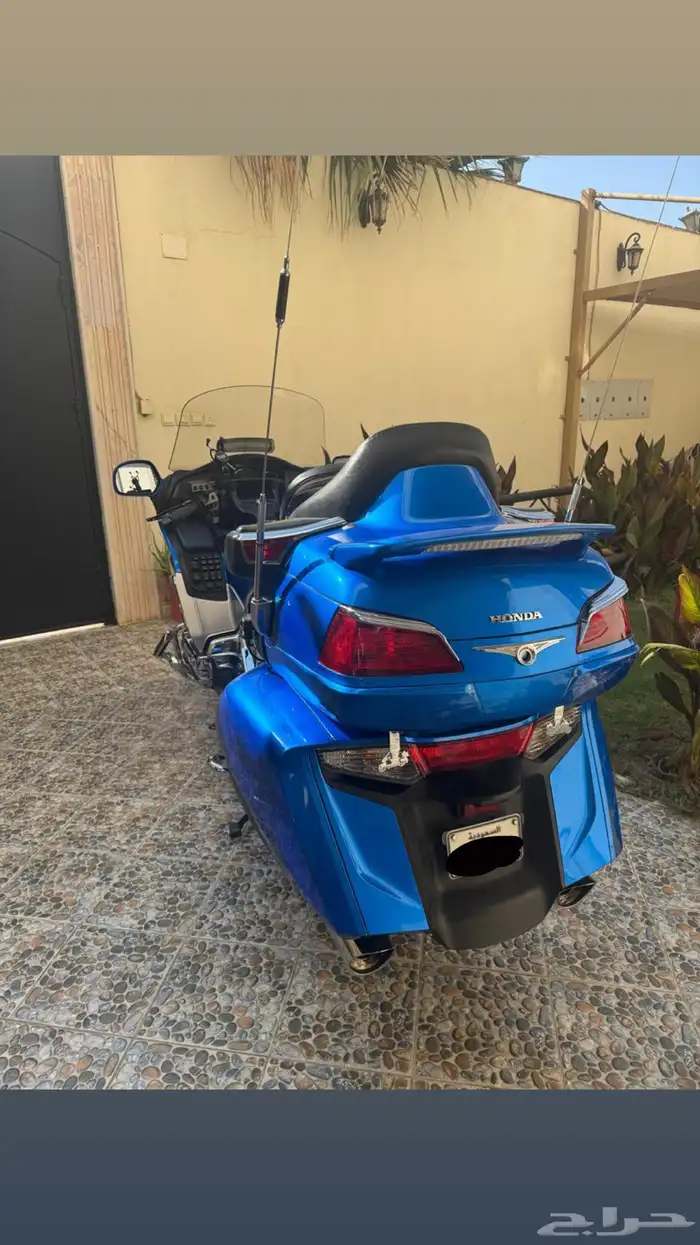 قولد وينق 2012 9