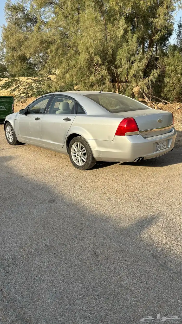 كابرس فضي 2012 1