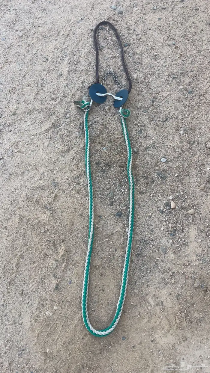 لجام خيل مستخدم نضيف 0