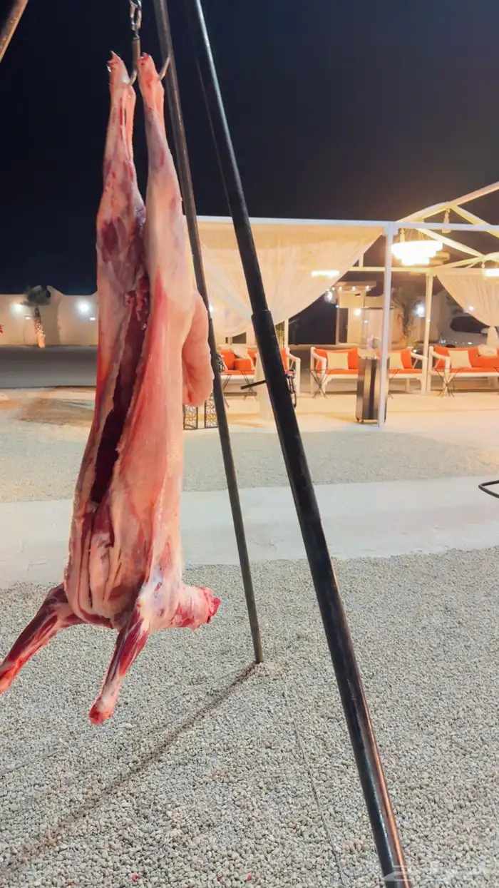 معلم شوي في الدوادمي 50