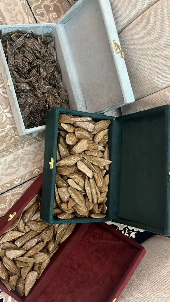 عود تايقر - عود مروكي - افضل انواع العود سعر رمزي 4