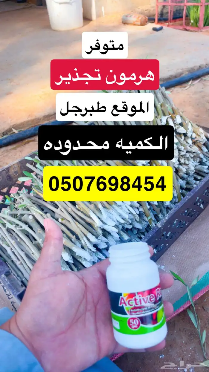 هرمون تجذير 0