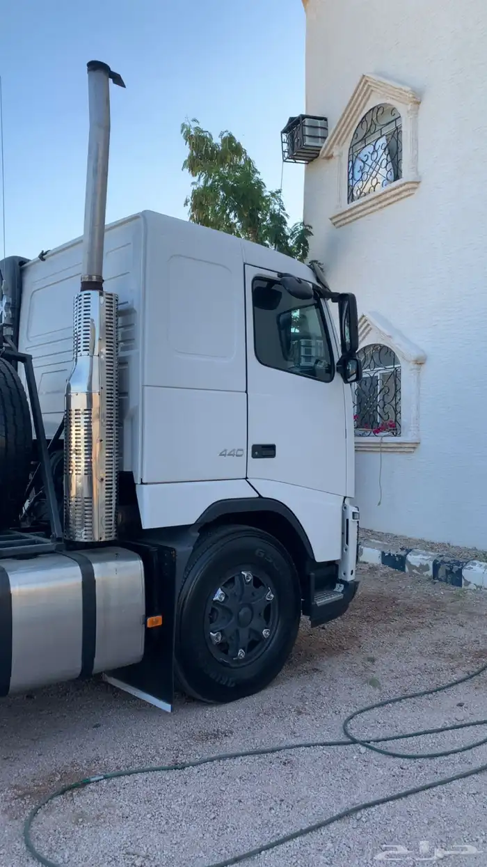 فلفو زاهد 2012 19