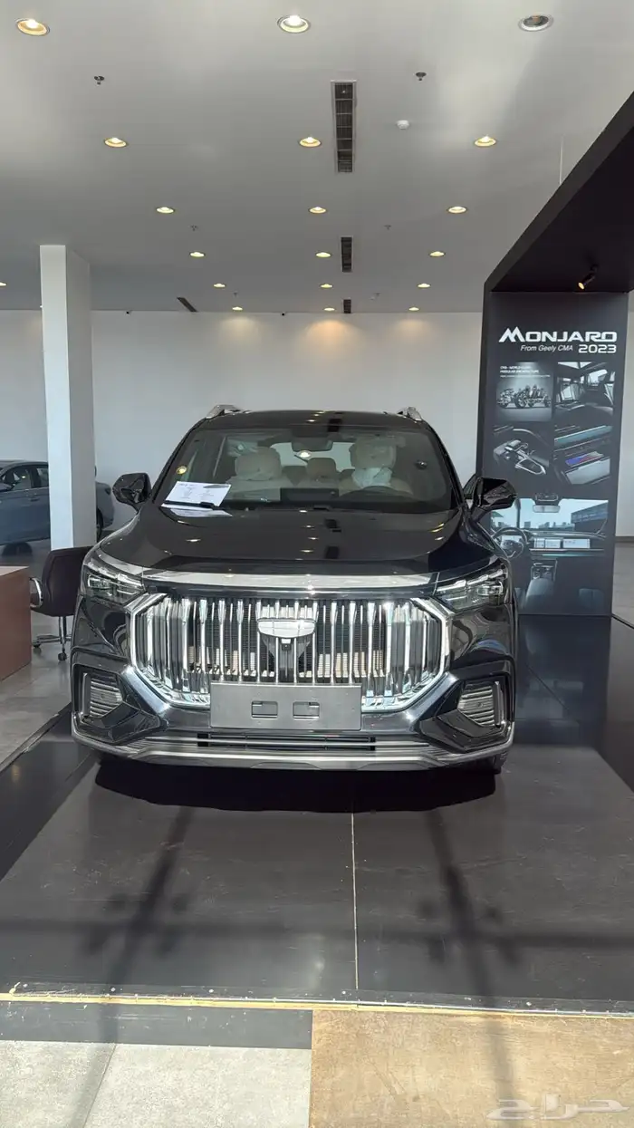 جيلي اوكافانجو 2025 0