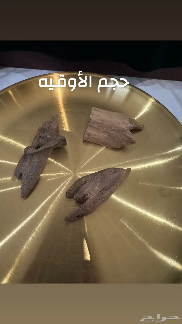 عود مروكي أصقون طبيعي 100  100 4