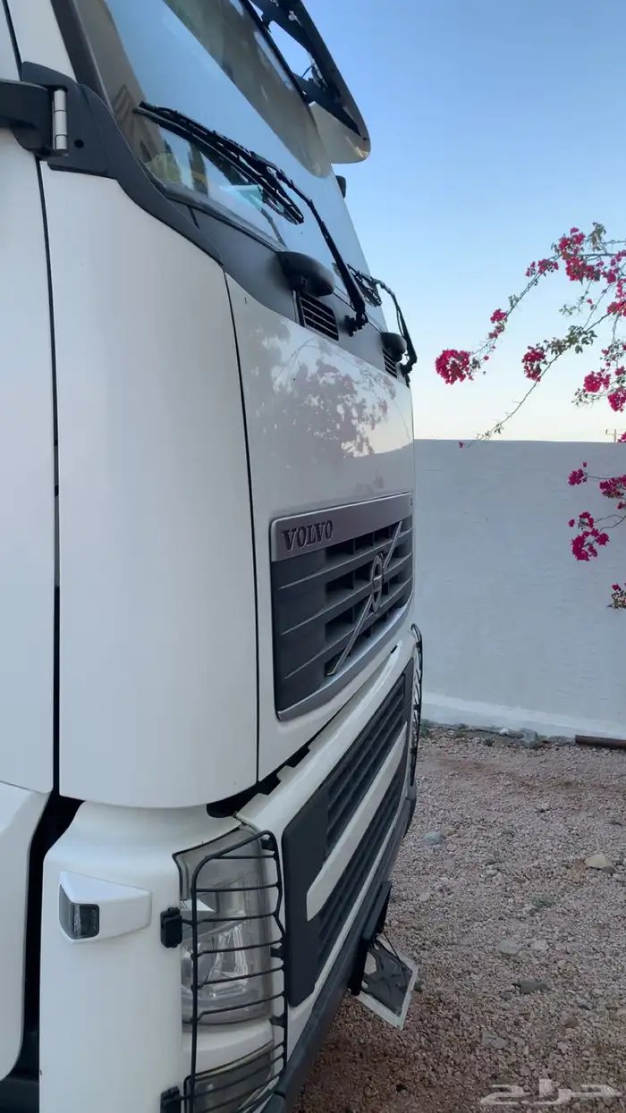 فلفو زاهد 2012 16