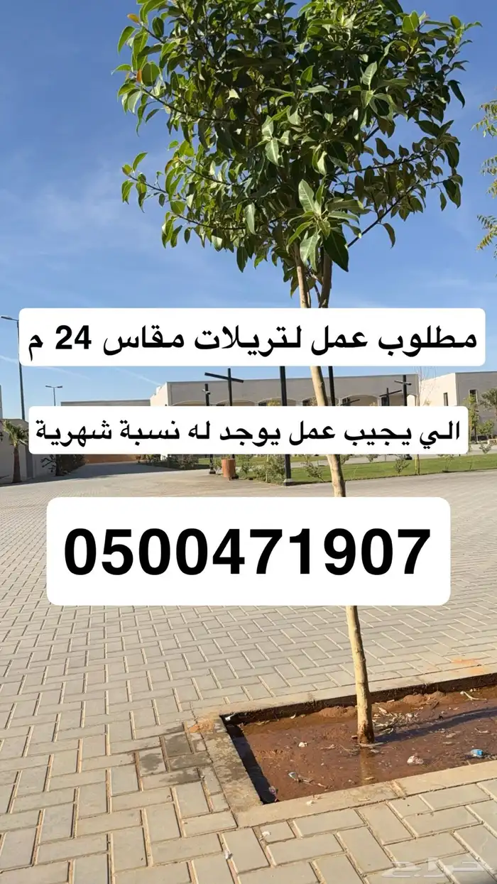 تريلة قلاب اكتروس مقاس 24 متر 1