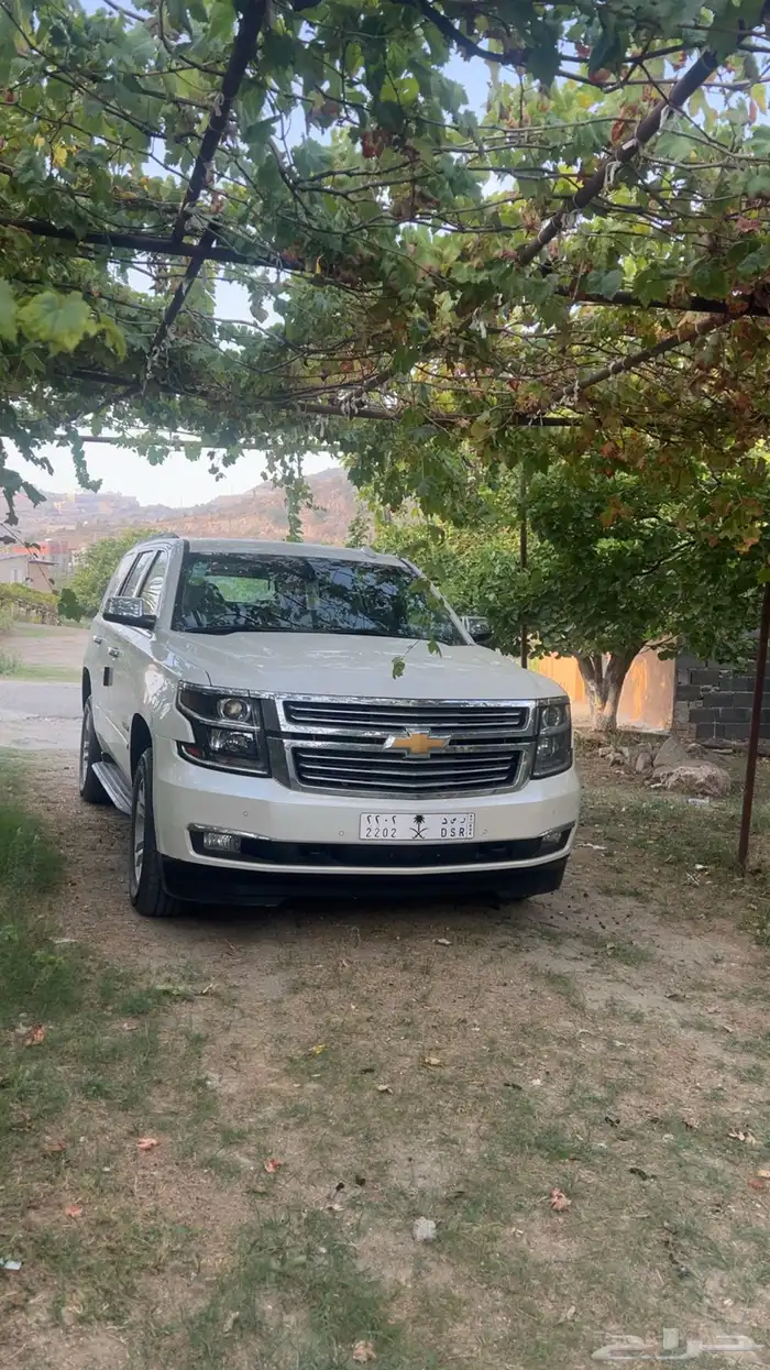 تاهو مخزن . الجميح .2015 8