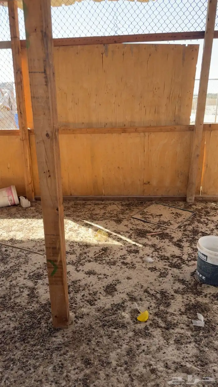 شبوك ومواصير وخشب للبيع 4