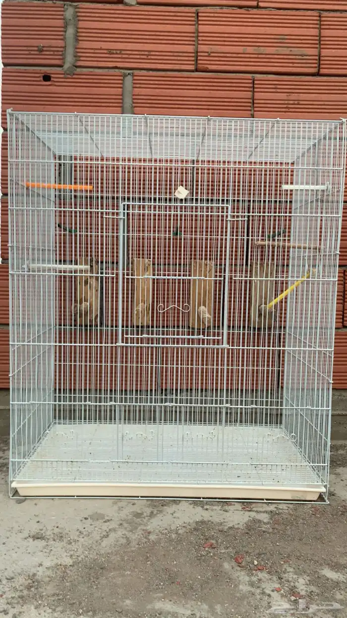 مطير زيبرا بكامل ملحقاته واستخدام بسيط ونضيف ( تم البيع ) 0