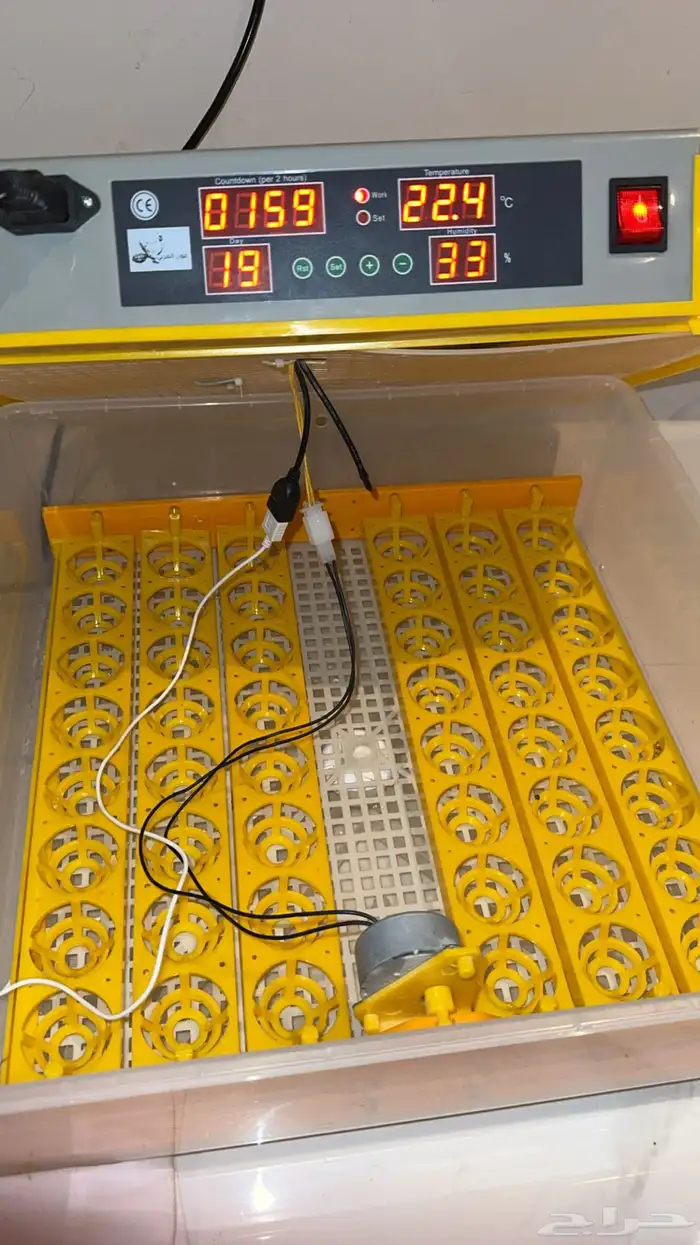 فقاسه لللبيع مستعجل الحد 310 1