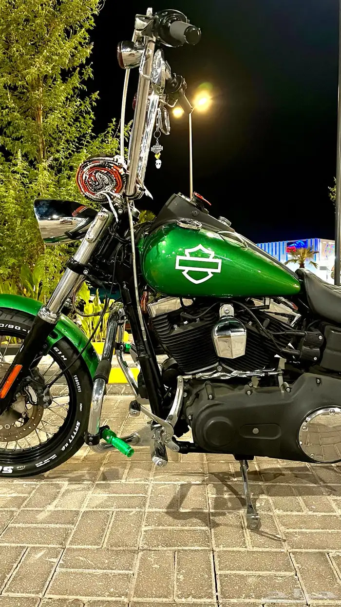 هارلي داينا ستريت بوب 2013 5