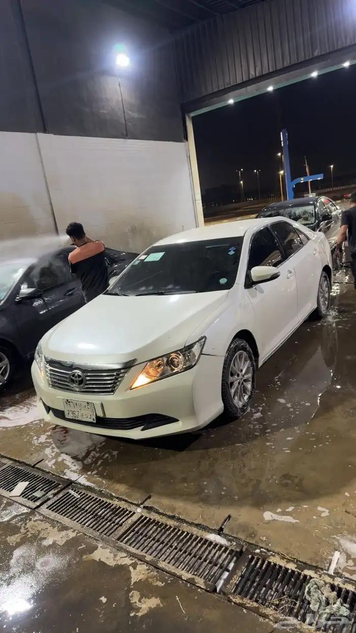 اوريون 2014 تورينق 8