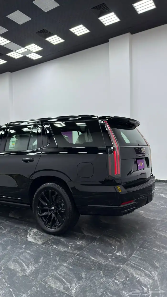 كاديلاك سكاليد للاجار اليومي والشهري 10