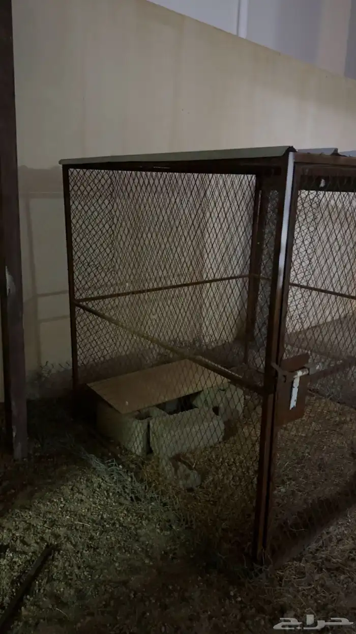 شبك شينكو الموقع الخرمه 1