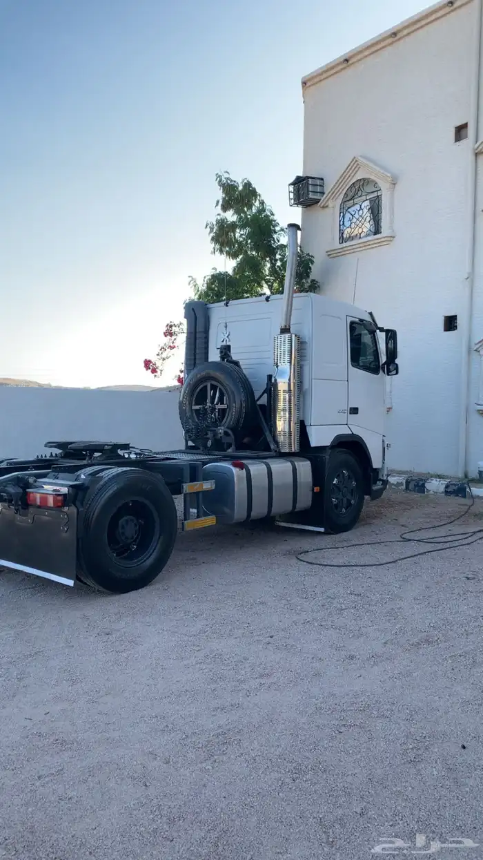 فلفو زاهد 2012 20