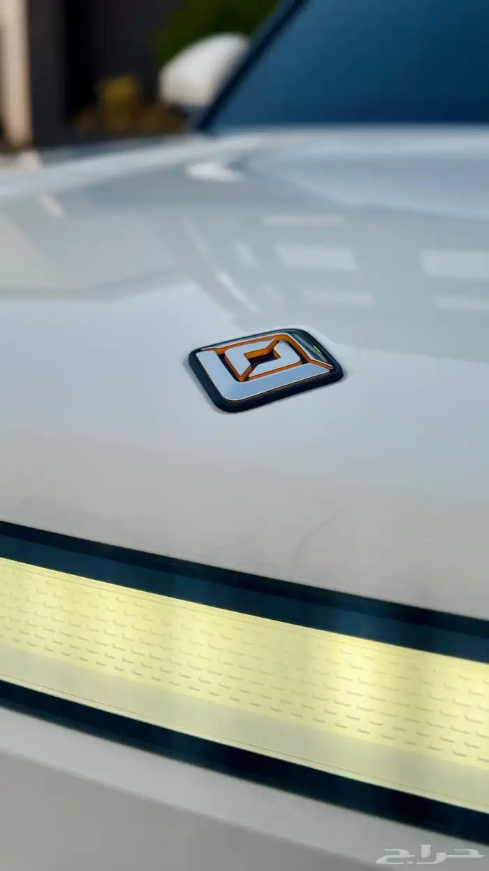 ريفيان R1S 2023 للبيع 31