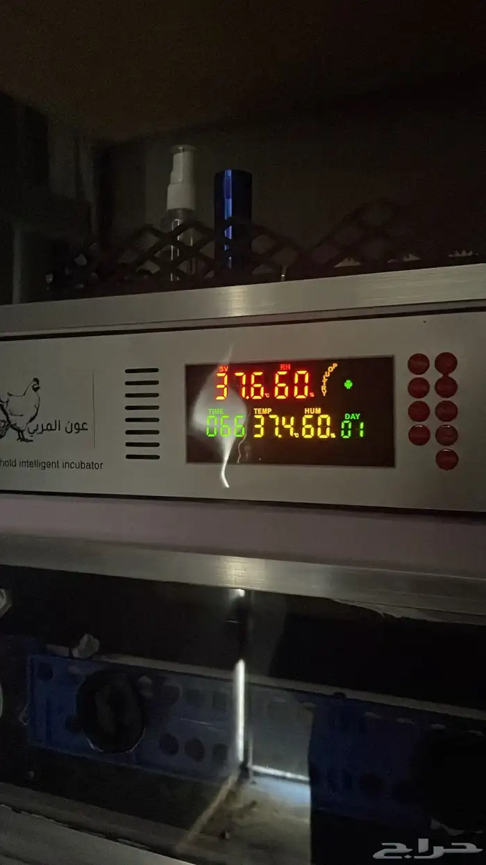 فقاسة عون المربي 1