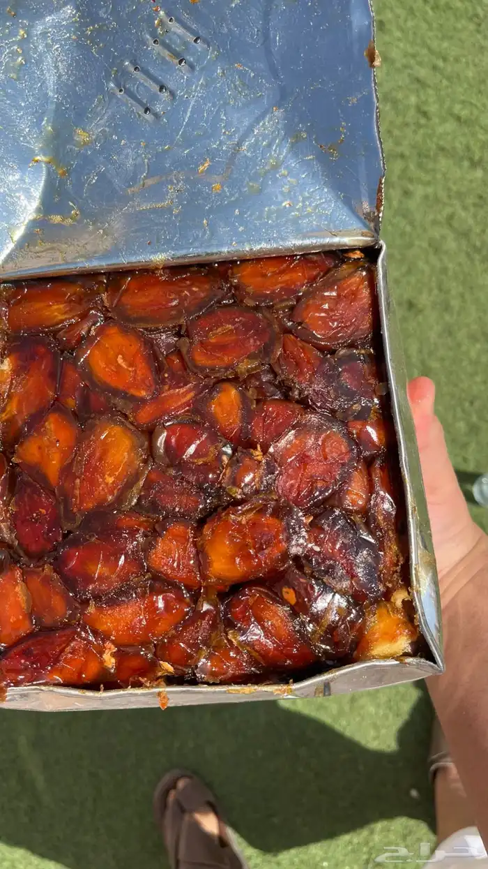 تمر صفري بيشة تنك ارباع 0