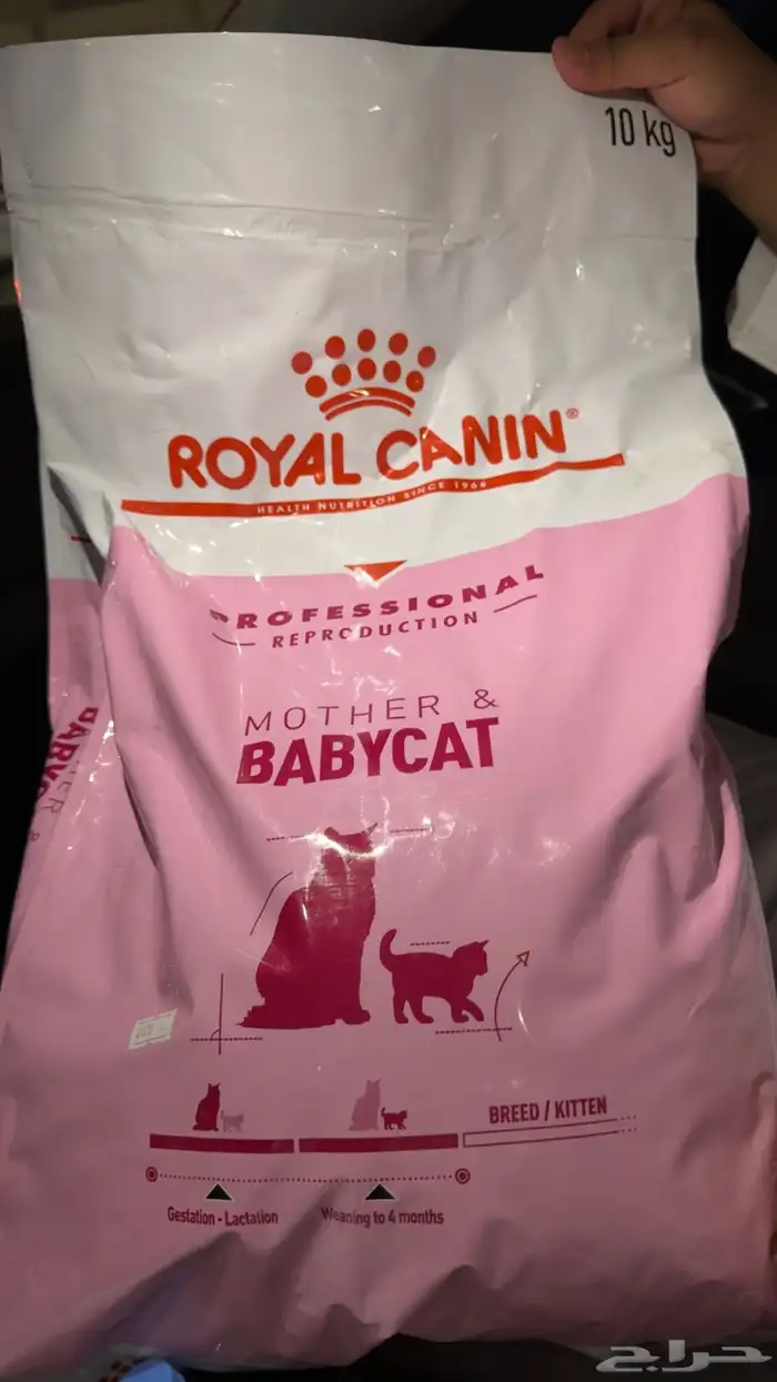 اكل قطط رويال جديد 0