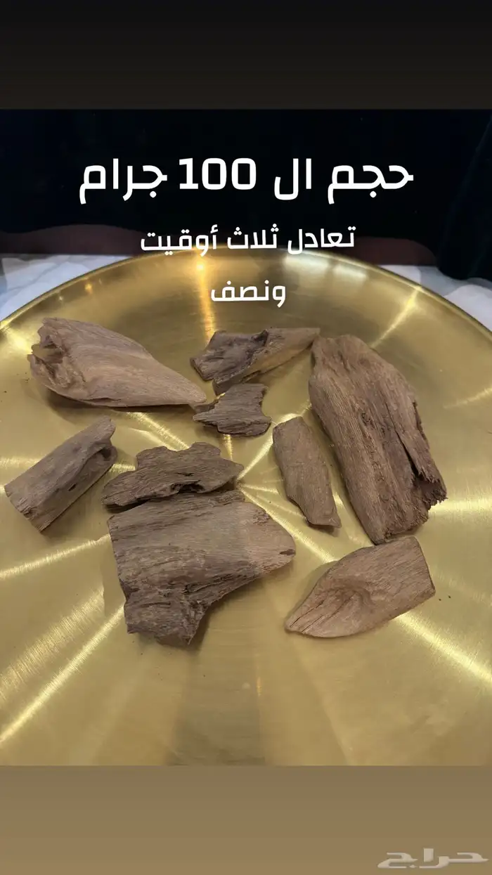 عود مروكي أصقون طبيعي 100  100 5