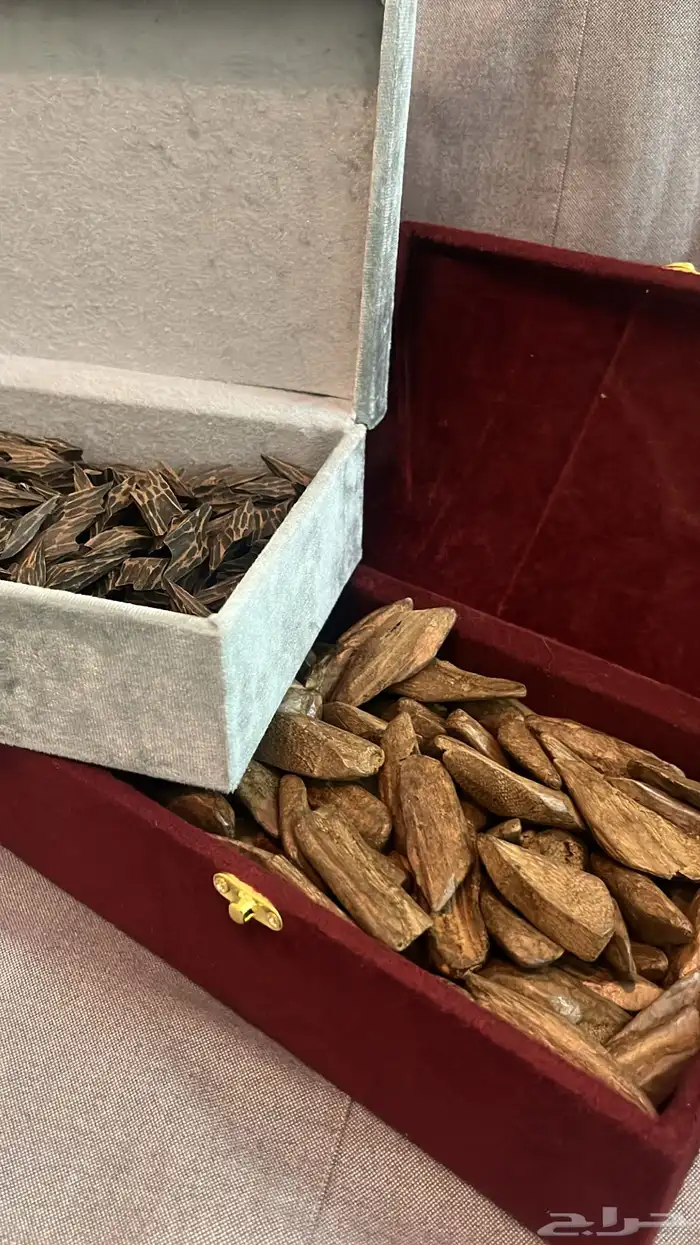 عود تايقر - عود مروكي - افضل انواع العود سعر رمزي 7