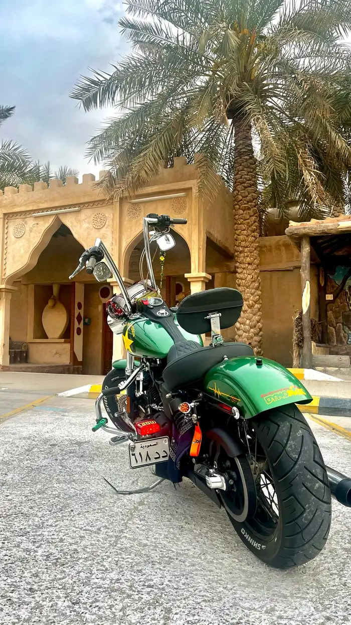 هارلي داينا ستريت بوب 2013 11