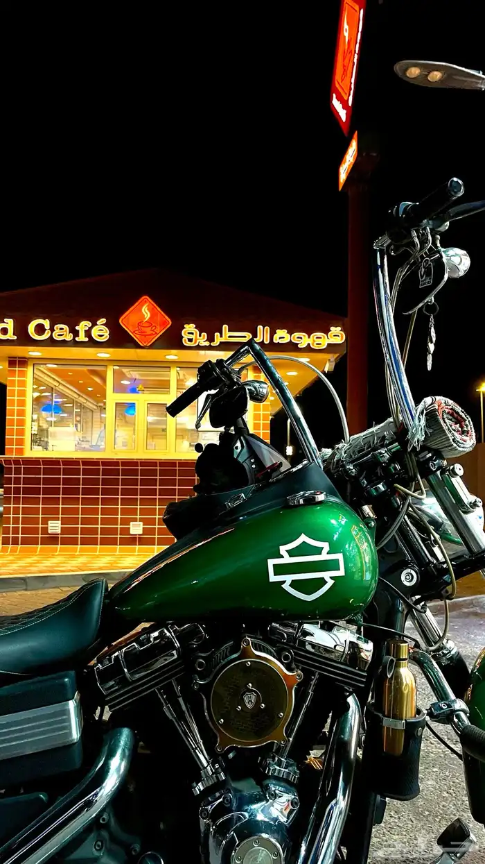 هارلي داينا ستريت بوب 2013 10