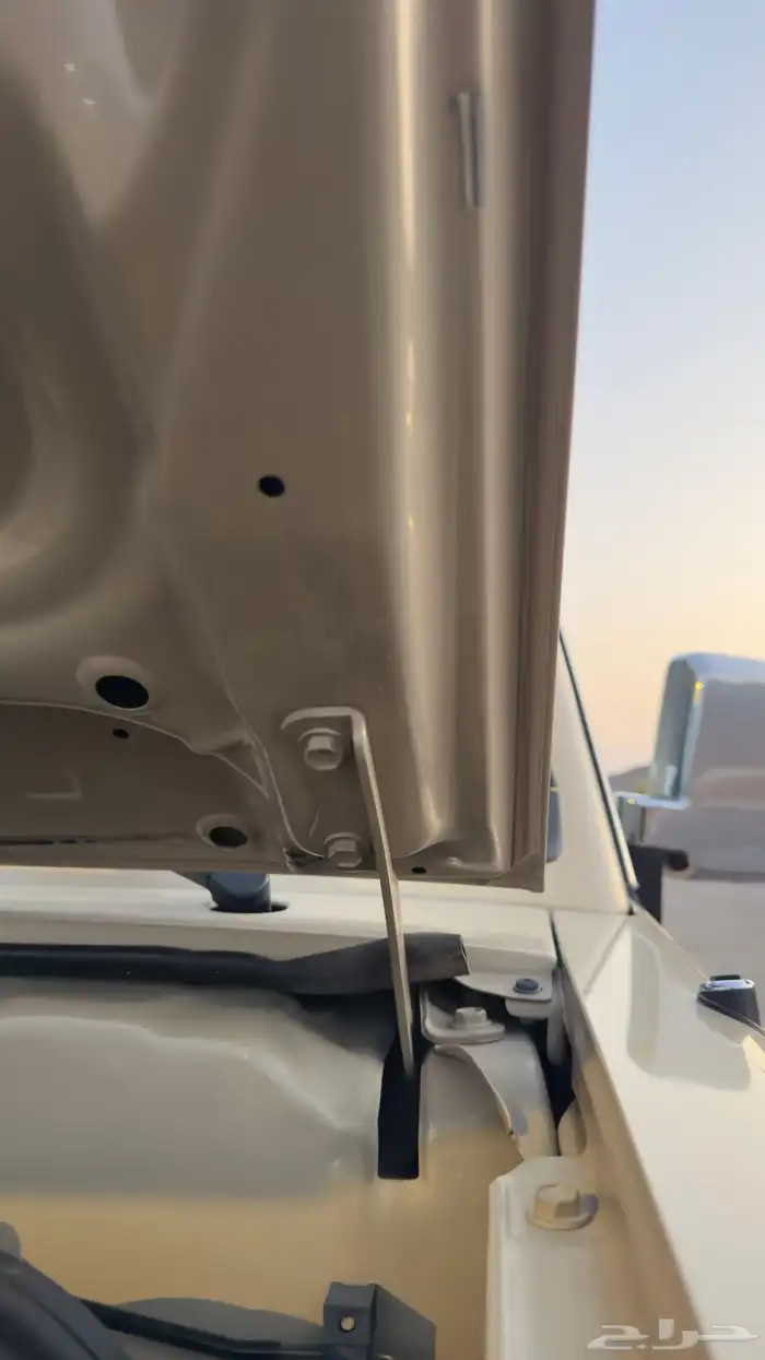 جيب شاص 2010 10