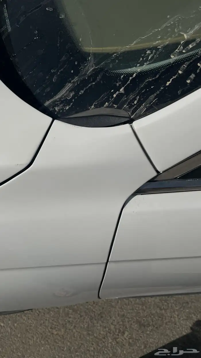 رفرف تورس 2021 10